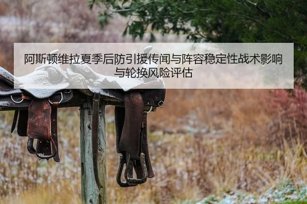 阿斯顿维拉夏季后防引援传闻与阵容稳定性战术影响与轮换风险评估