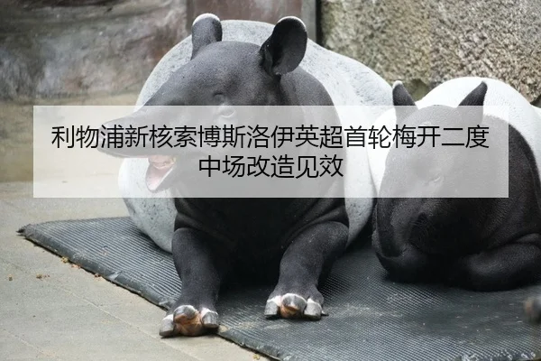 利物浦新核索博斯洛伊英超首轮梅开二度 中场改造见效
